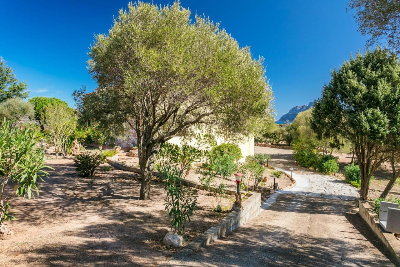 Casa Relax Daire Porto San Paolo  Dış mekan fotoğraf